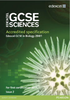 Edexcel as biology coursework specification